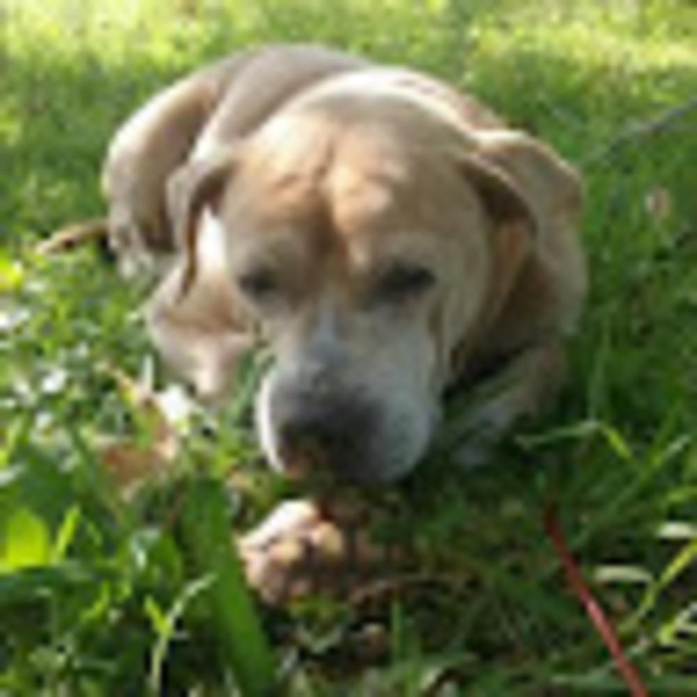 Meet your Posher, Kymba